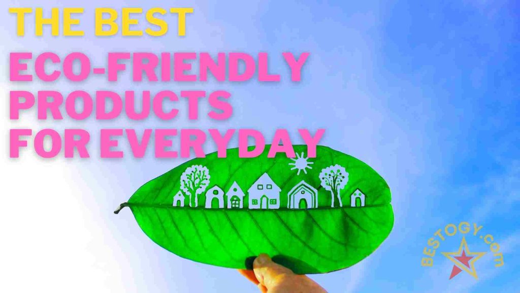 Eco-Friendly Products Everyday