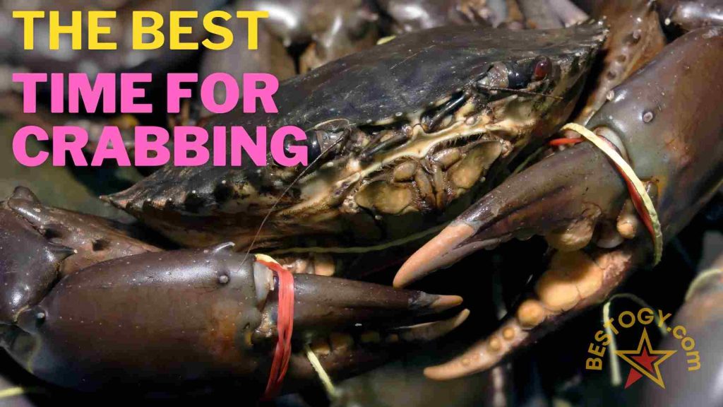 The Best Time for Crabbing