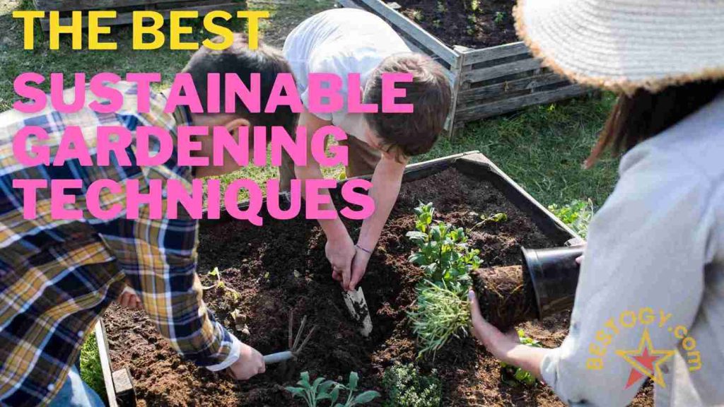 The Best Sustainable Gardening Techniques