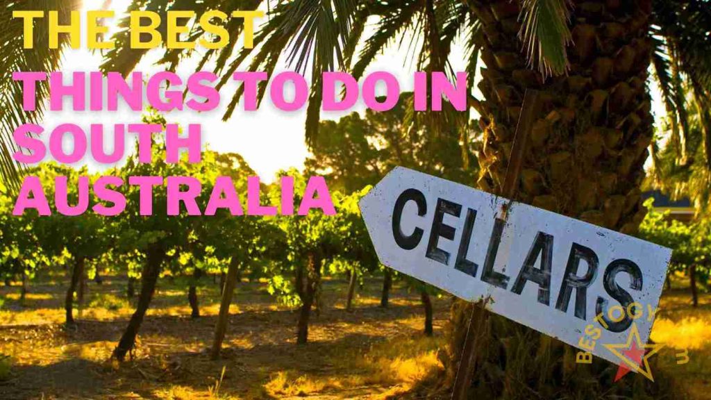 The Best of South Australia