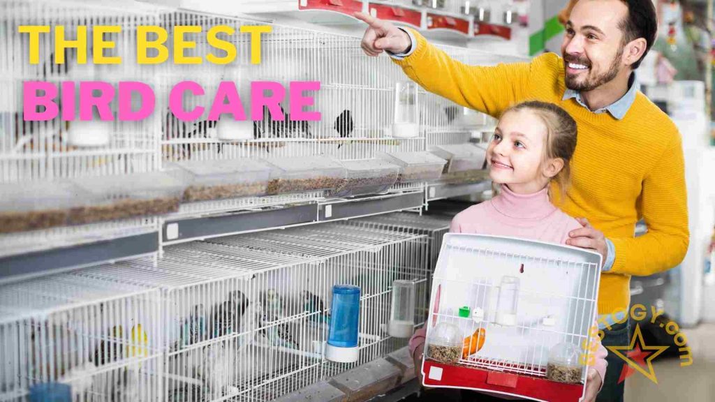 The Best Bird Care